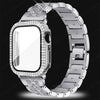Silver and Case / 42mm